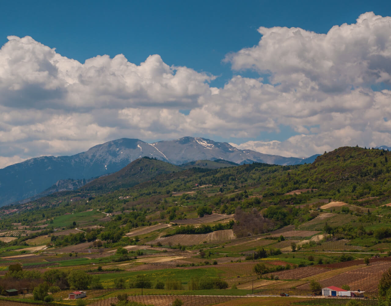 klimenti-istoria-4